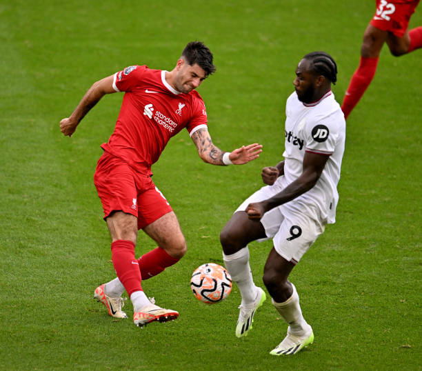 闪亮名片 闪亮名片